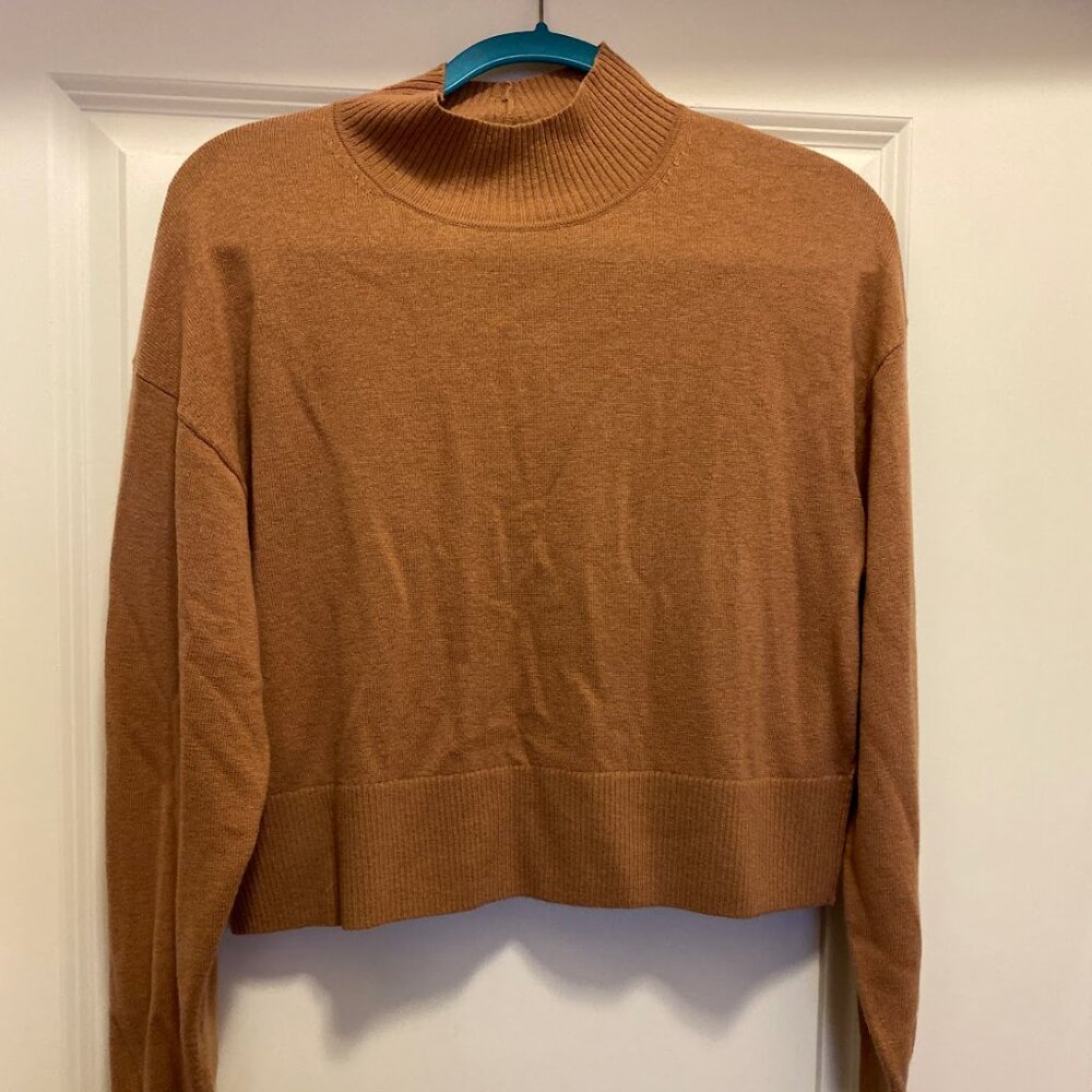 Everlane cropped mock neck merino sweater, autumn orange color